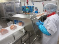 An IP69K-certified food inspection system from Loma meets the hygiene requirements outlined in most Retailer Codes of Practice