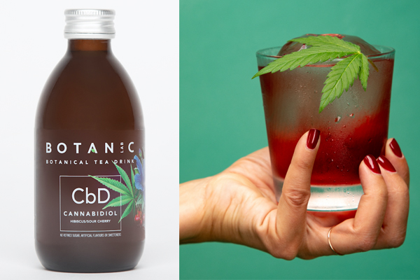 First CBD tea drink launched