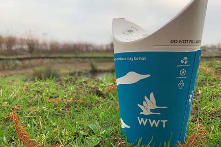 ButterflyCup launches as UK's first plastic-free lidless disposable cup