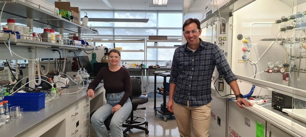 Researchers develops clay technology to slow spoilage in fresh produce