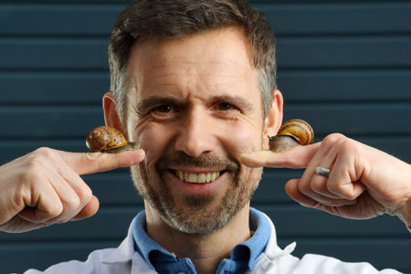 UK snail sales flourish amid lockdown