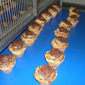 A close-up of an automated Dojatec airless spray gun precisely applying a glossy egg wash glaze onto a row of golden pastries moving along a bakery conveyor belt.