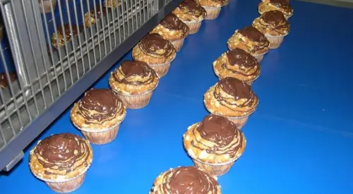 A close-up of an automated Dojatec airless spray gun precisely applying a glossy egg wash glaze onto a row of golden pastries moving along a bakery conveyor belt.