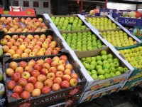 F9a Fresh Produce waste