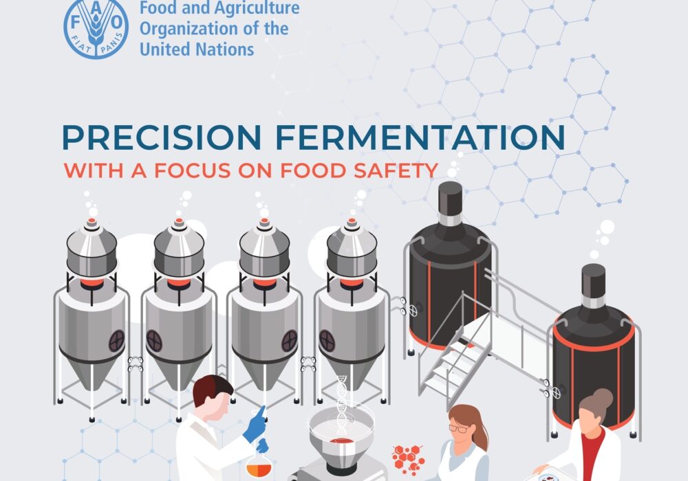 FAO reports on precision fermentation's potential to offer a safe and ...