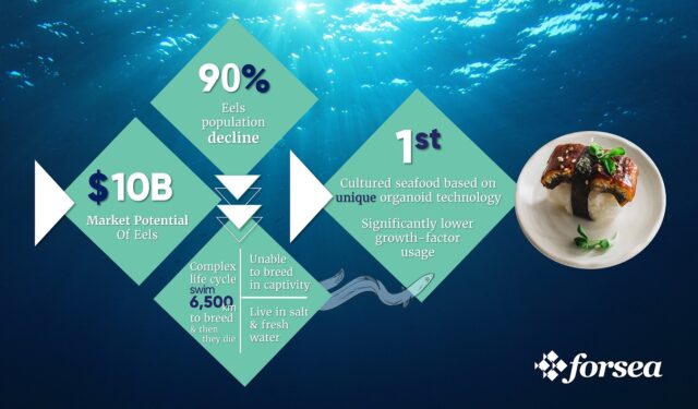 FoodTech start-up introduces sustainably produced cultured seafood