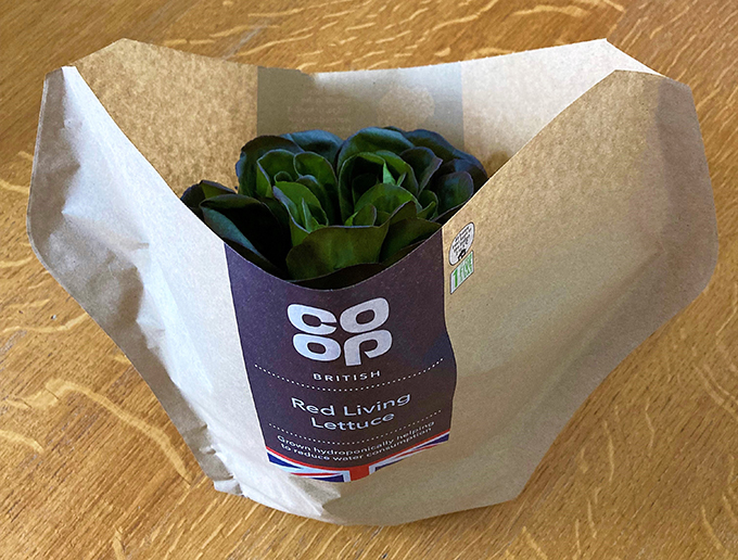 Living Lettuce puts roots down in the Co-op