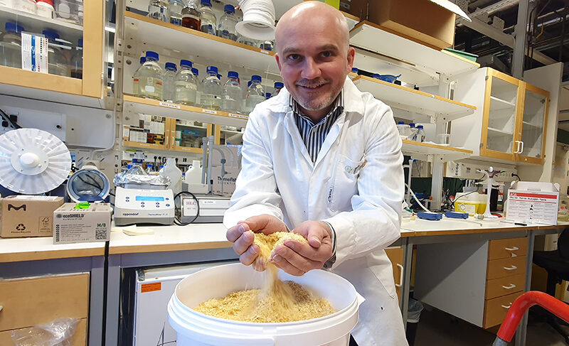 Method extracts antioxidant nutrients from corn processing waste