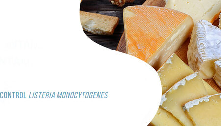 Lallemand Speciality Cultures develops a patented solution to control listeria in cheese