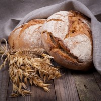 Frisches Brot