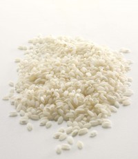 PR98a rice starch