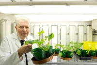 Professor Ted Cocking
