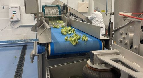UPP’s automated harvest‑to‑ingredient facility at the UK Agri‑Tech Centre, showing stainless‑steel processing lines used to convert brassica biomass into clean‑label protein and fibre ingredients.