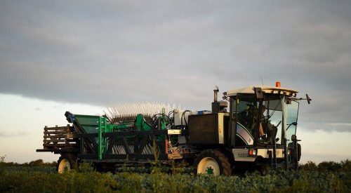 UPP harvester