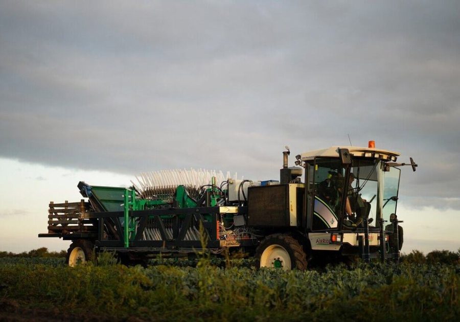 UPP harvester