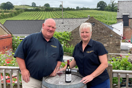 Welsh vineyard beats world’s leading producers to secure Decanter’s gold medal