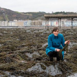 Seaweed‑based food packaging film developed from alginate for sustainable plastic‑free applications.