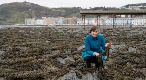 Seaweed‑based food packaging film developed from alginate for sustainable plastic‑free applications.