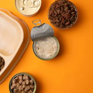 global corporate venturing initiative driving rigid packaging innovation and scaling