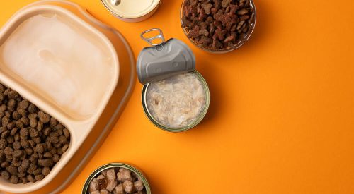 global corporate venturing initiative driving rigid packaging innovation and scaling
