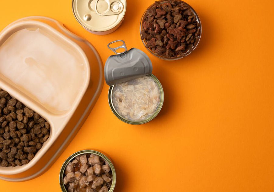 global corporate venturing initiative driving rigid packaging innovation and scaling