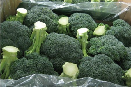 StePac's packaging improves supply chain of vegetables