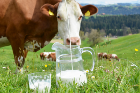 Study highlights impact of dairy cheese maker's carbon emissions