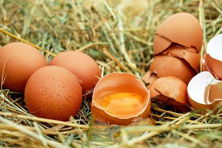 UK food chain faces egg contamination scare