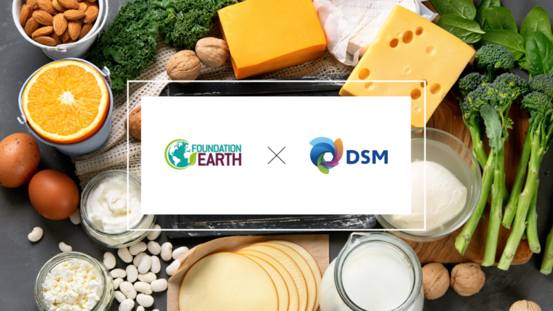 DSM and Foundation Earth strike partnership to promote food eco-labelling
