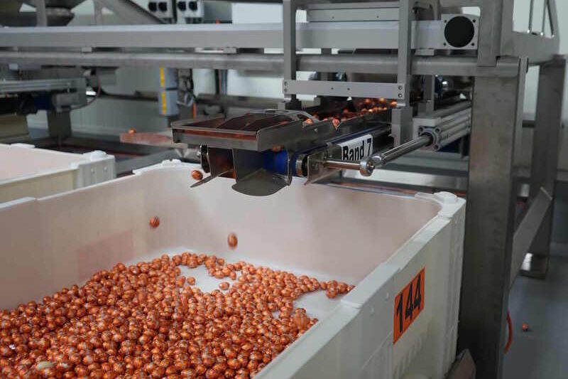 Festo's electric drive automation craft Easter egg flavour pairings for Mondelez