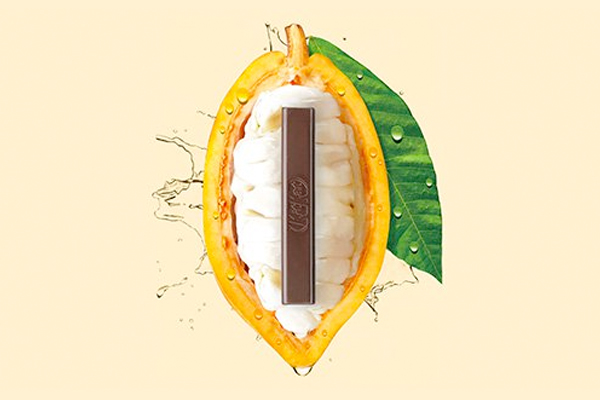 Nestlé creates new chocolate using just the cocoa fruit