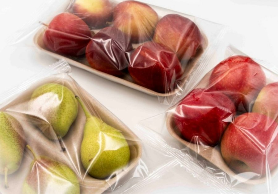 recyclable PET tray innovation
