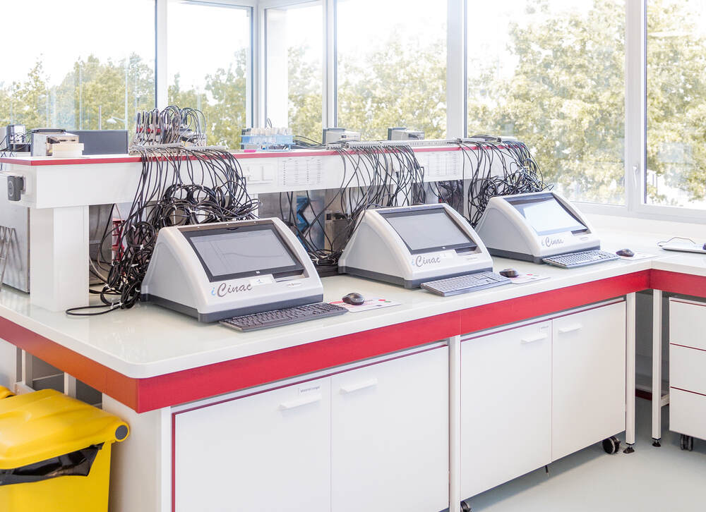 Meermand Lab Lallemand Specialty Cultures unveils new application R&D lab to drive ...