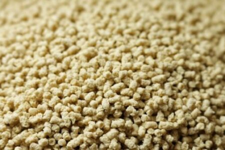 Loryma extruded crispies suitable for high-protein, low-carb segment