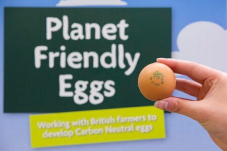 Morrisons becomes first supermarket to launch its own carbon neutral eggs