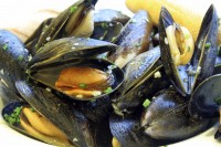 Mussels