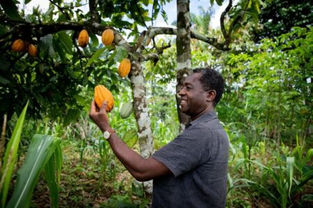 ofi drives climate action in global cocoa supply chain