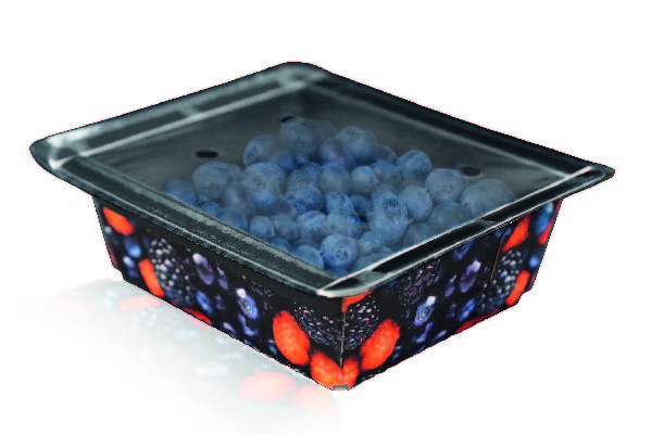 Proseal to showcase tray sealing solutions at Asia Fruit Logistica-ON