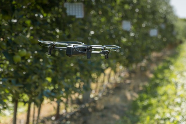 Land Robots announces AI robot project in support of UK's wine industry