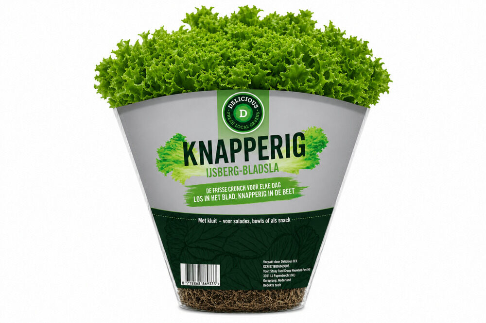 Climate‑proof lettuce innovation debuts